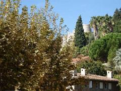183 HYERES ET SES PALMIERS D13_000033